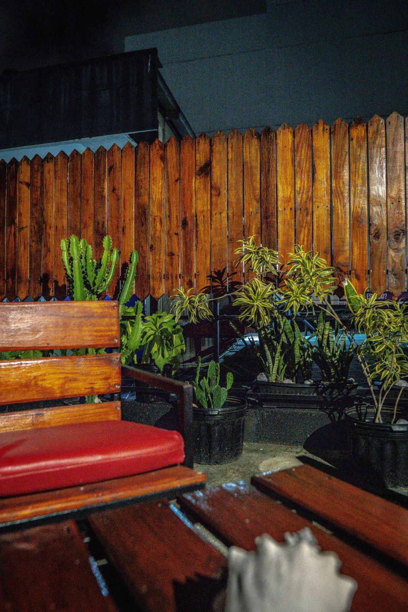 Eden'S Garden Hostel Панама Сити Екстериор снимка